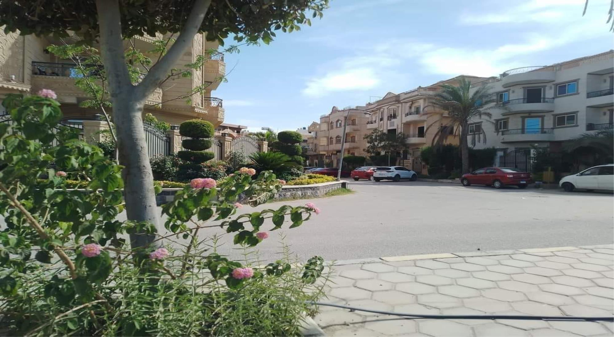 latest property