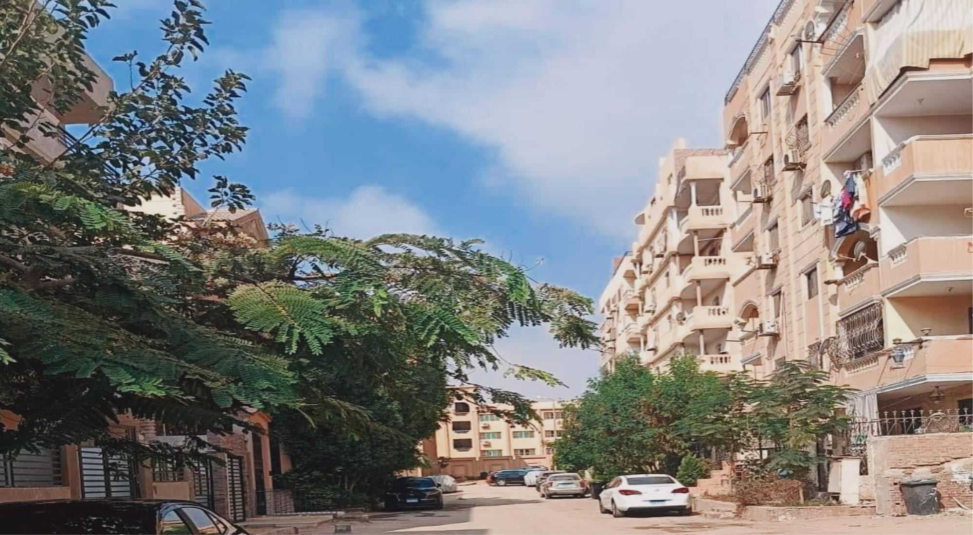 latest property