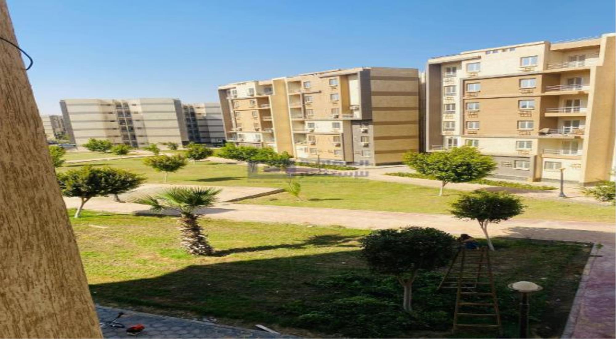 latest property