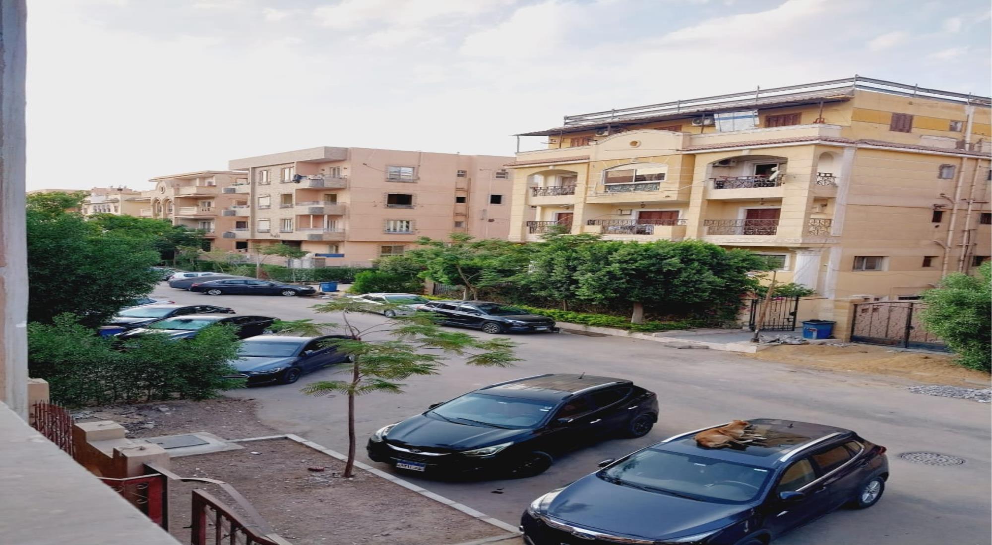 latest property
