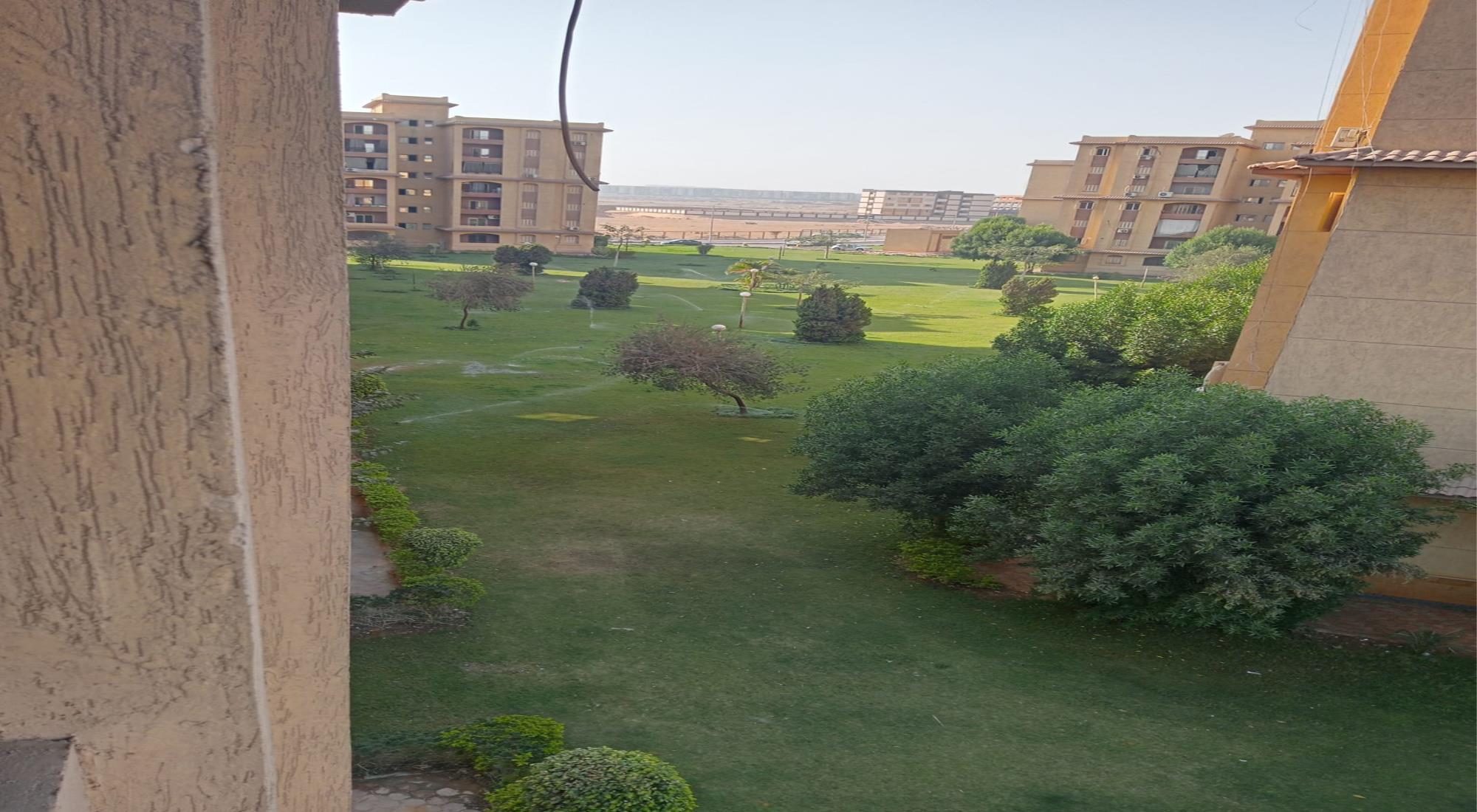 latest property