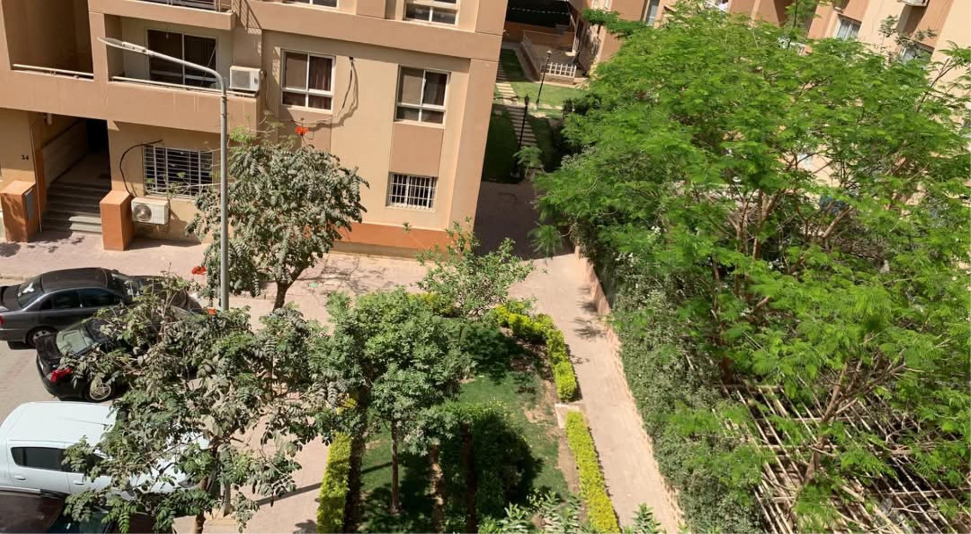 latest property