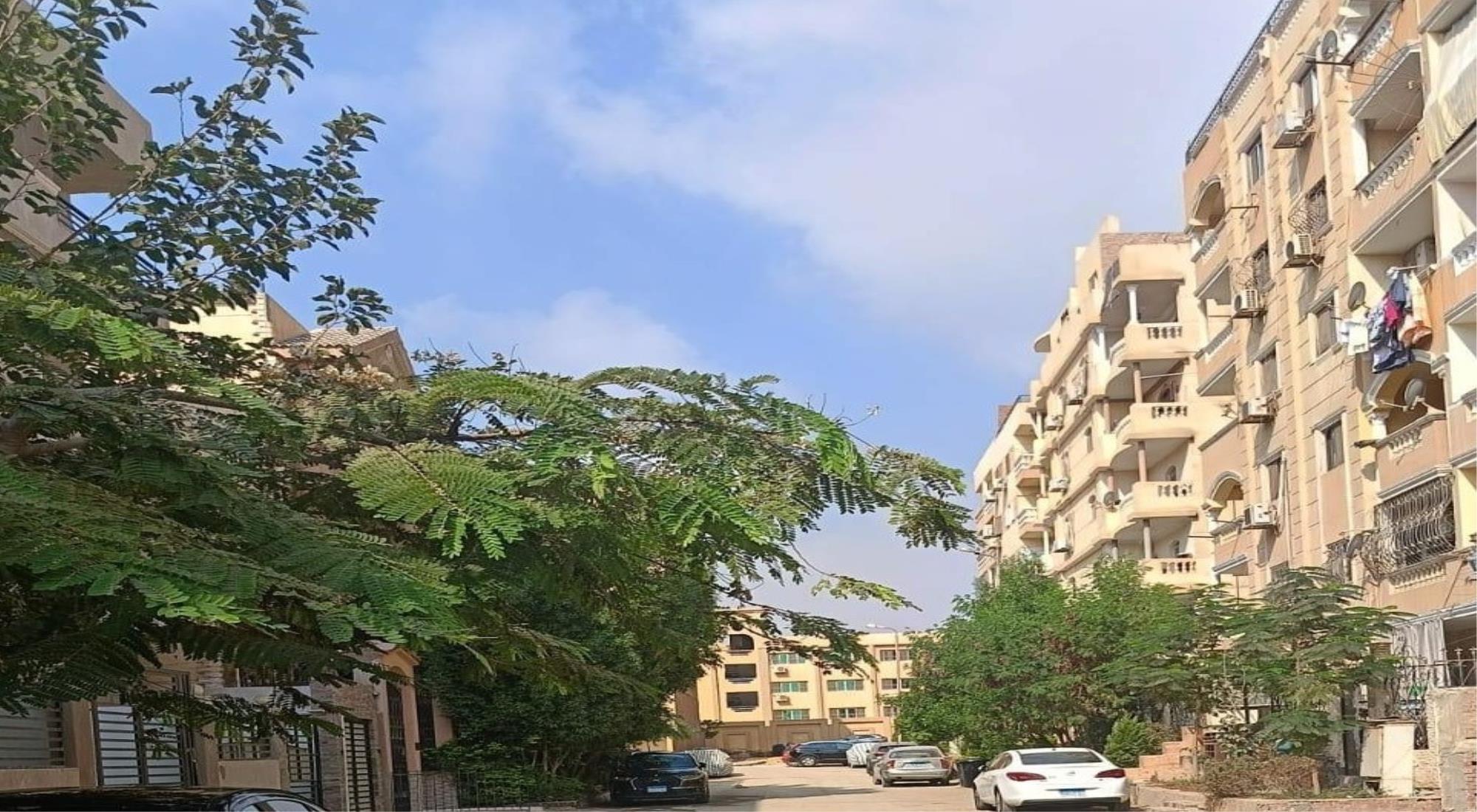 latest property