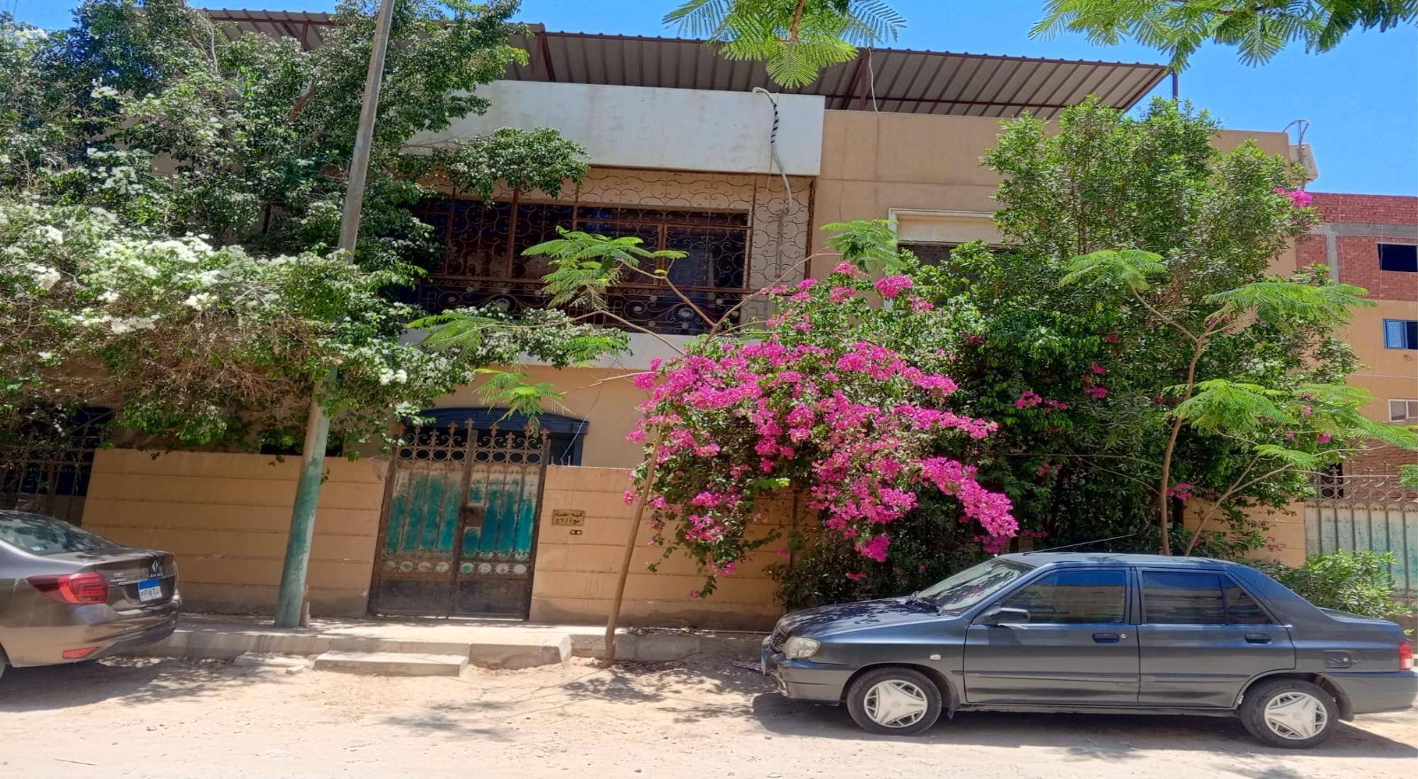 latest property