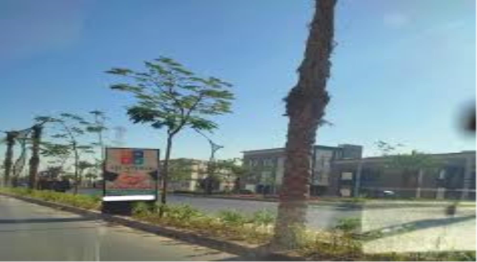 latest property