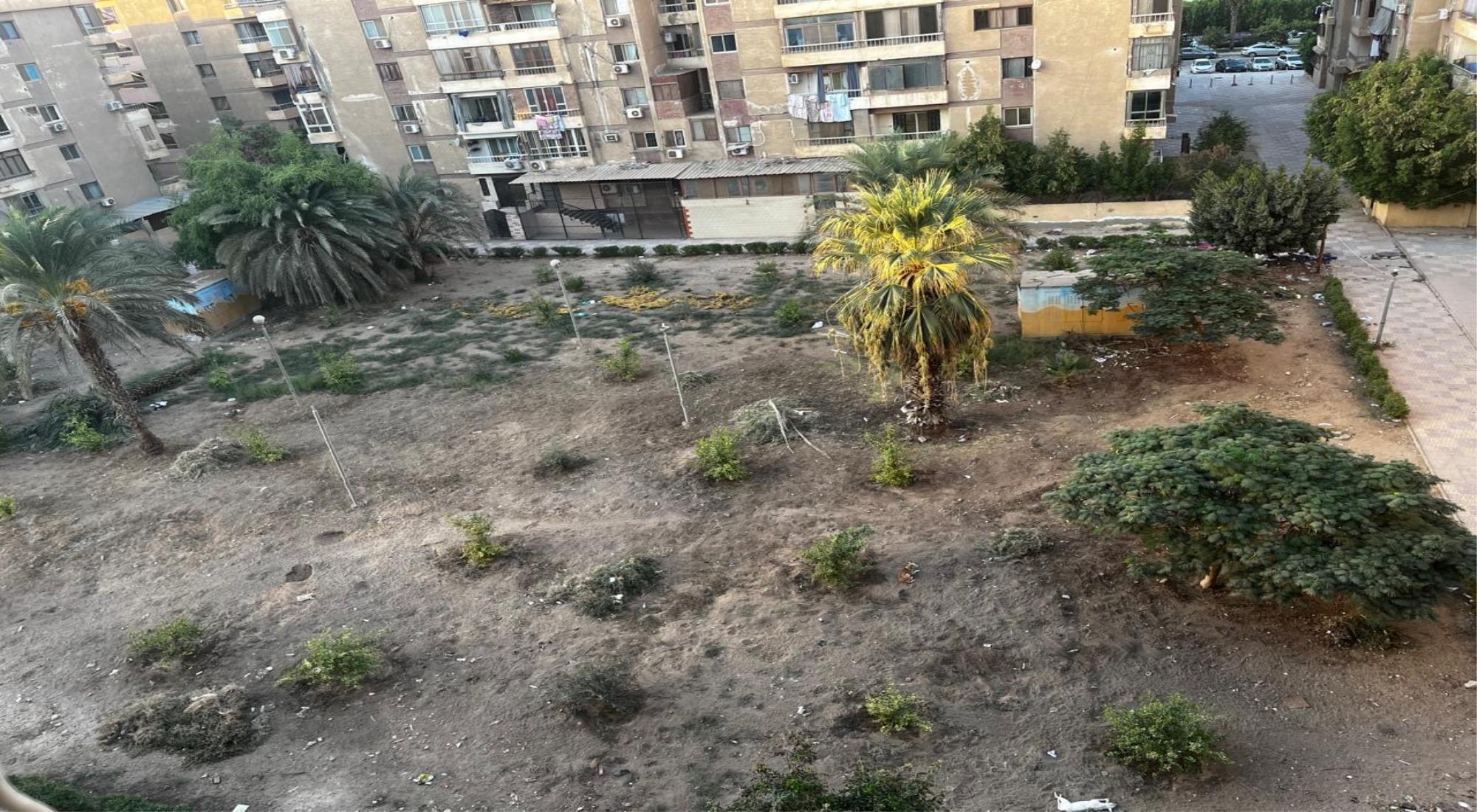 latest property