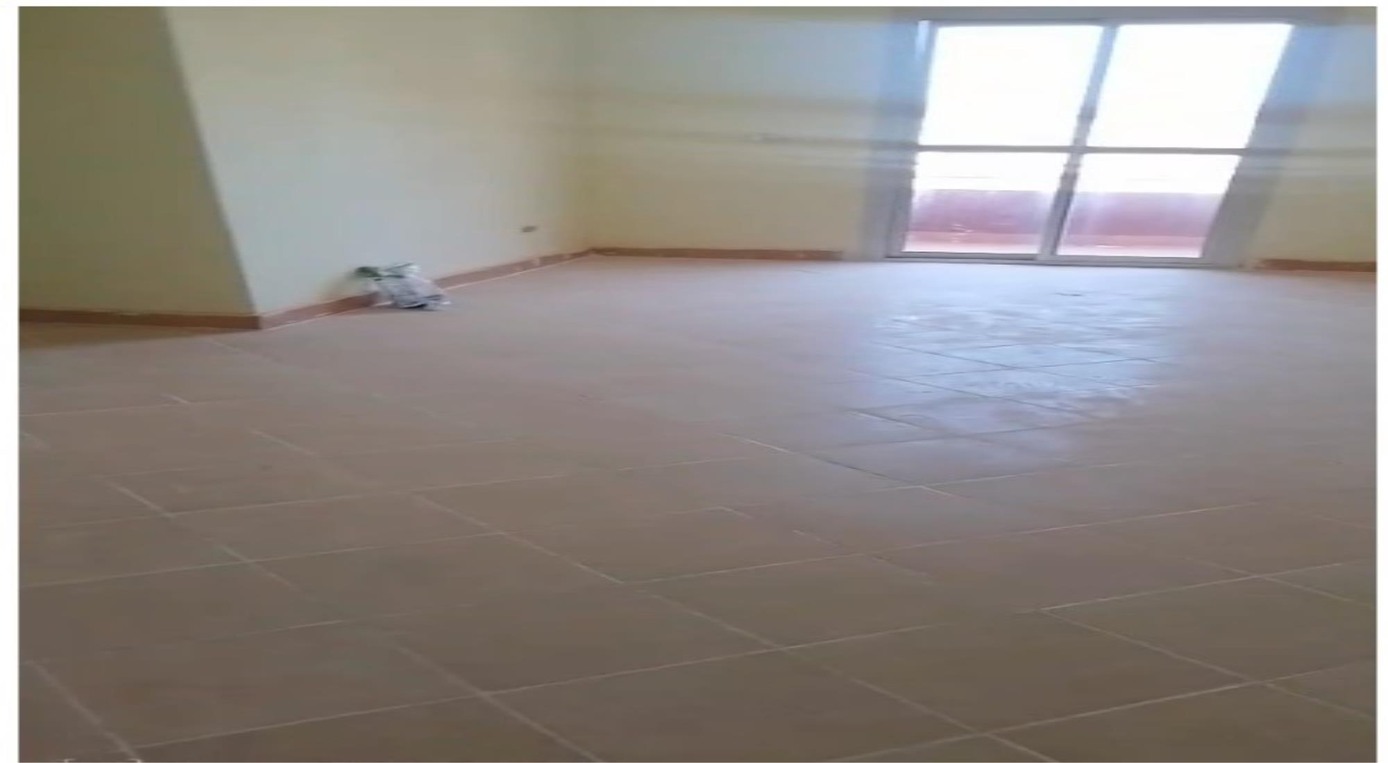 latest property