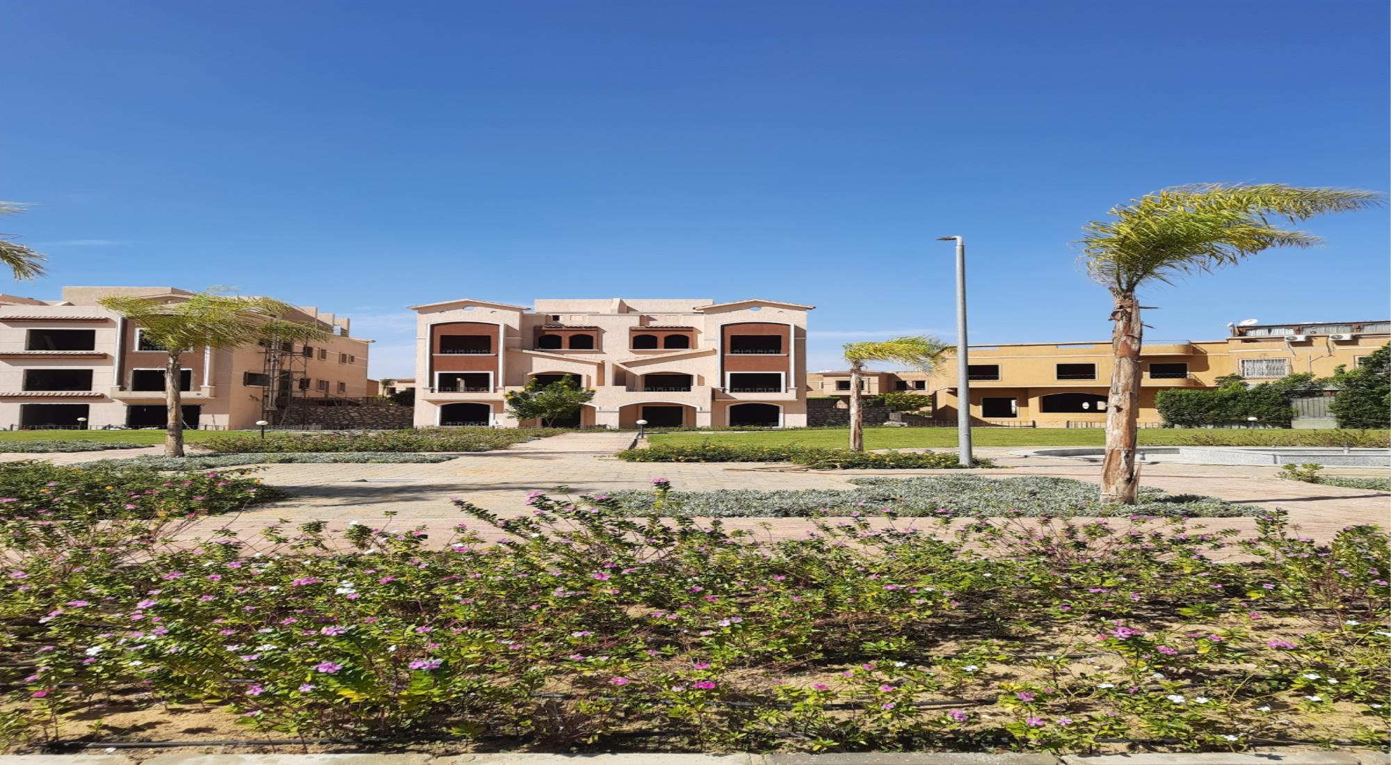 latest property