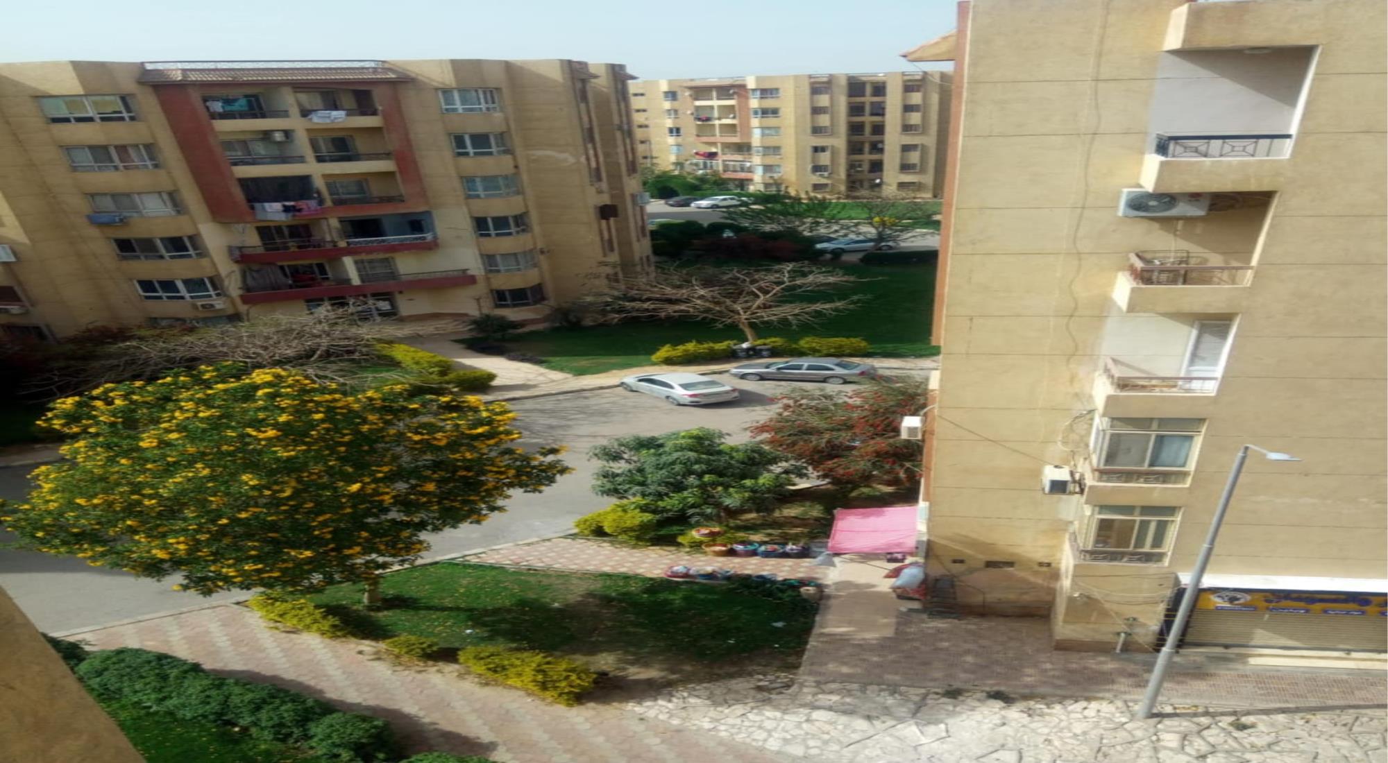 latest property