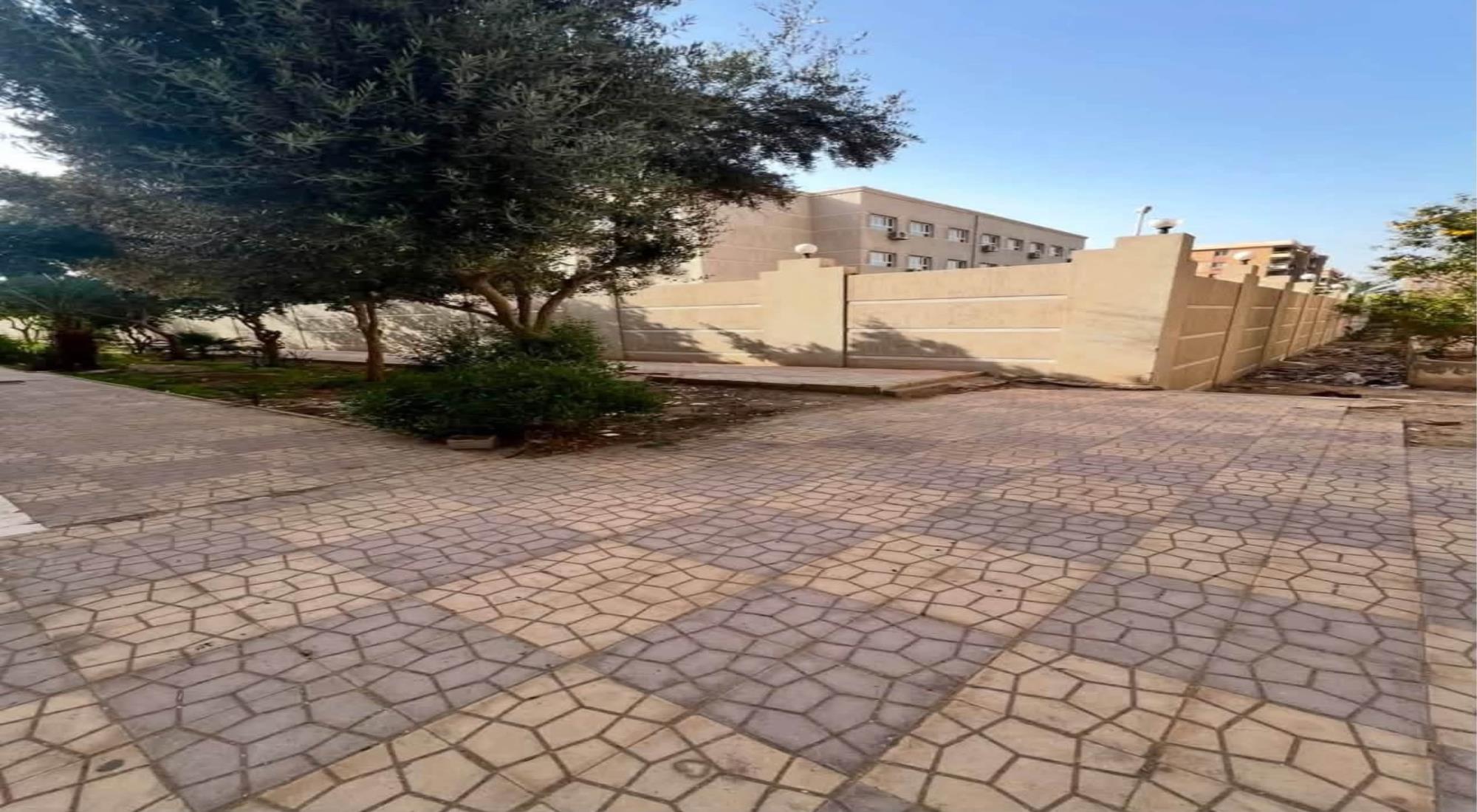 latest property