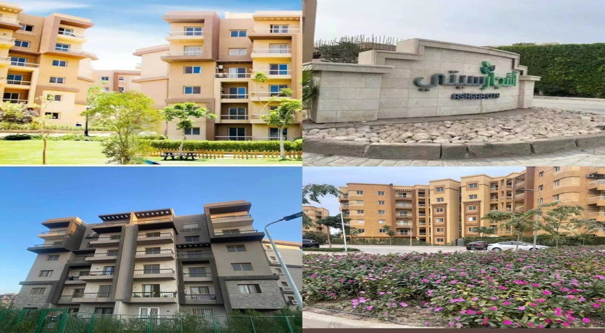 latest property