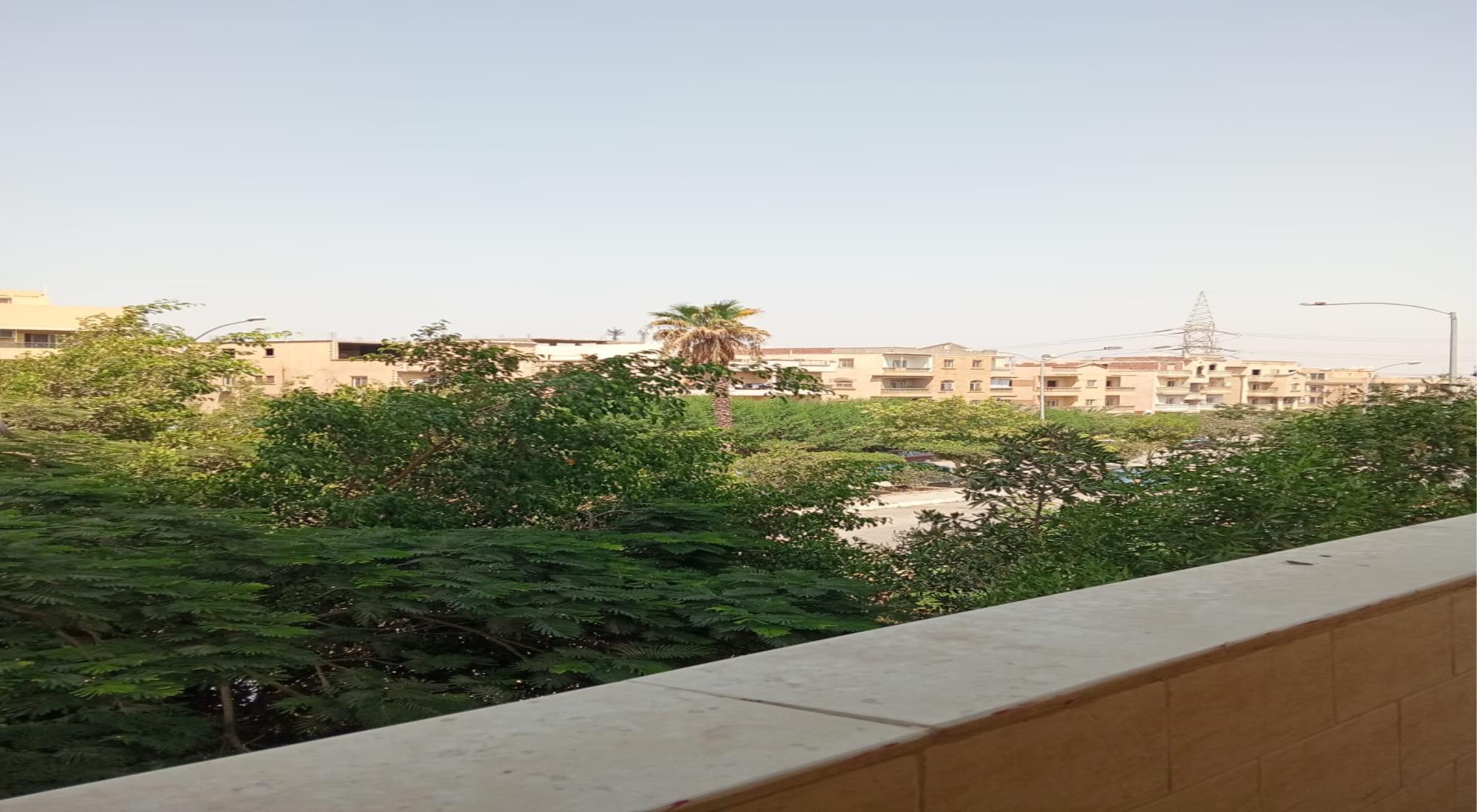 latest property
