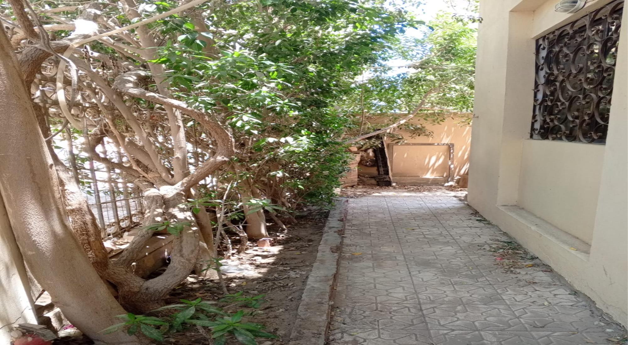 latest property