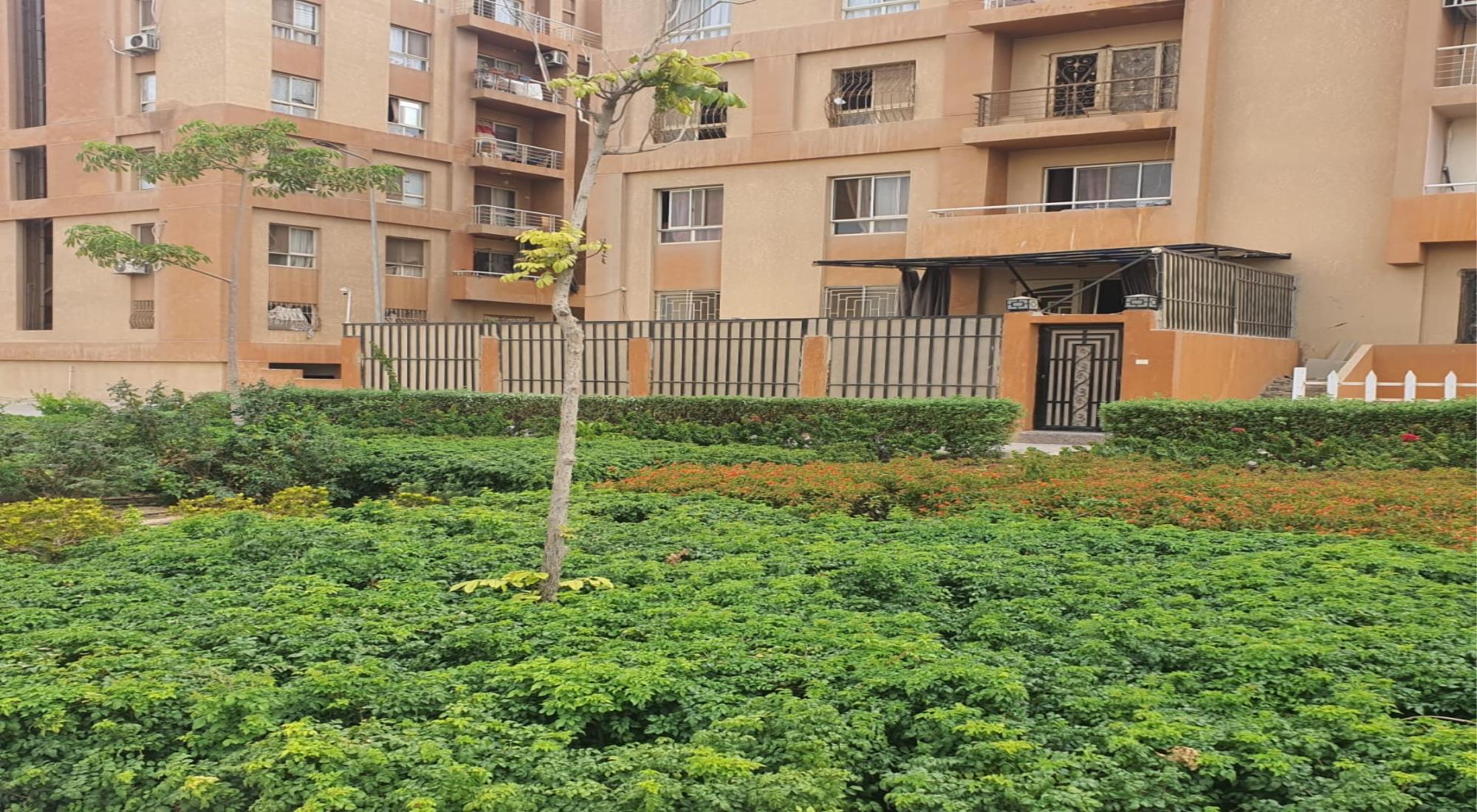 latest property