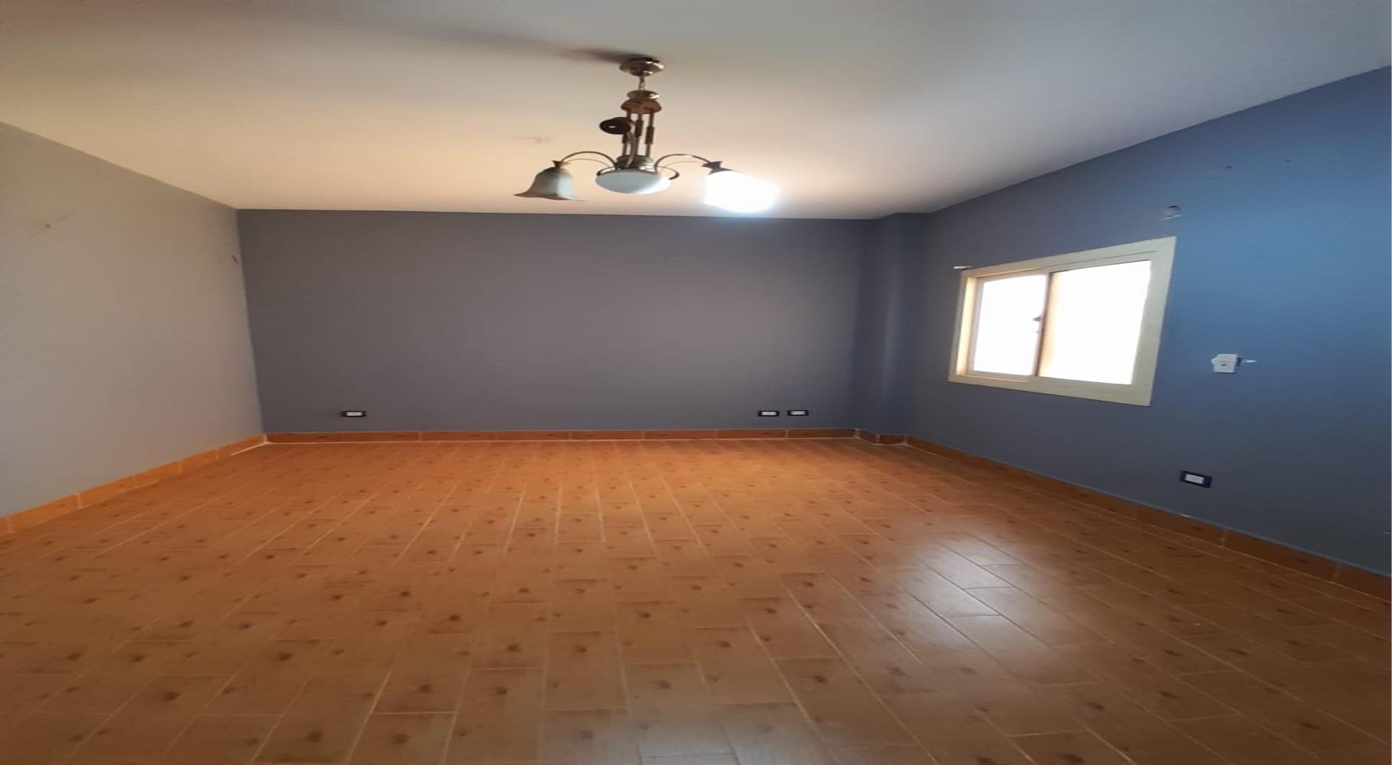 latest property